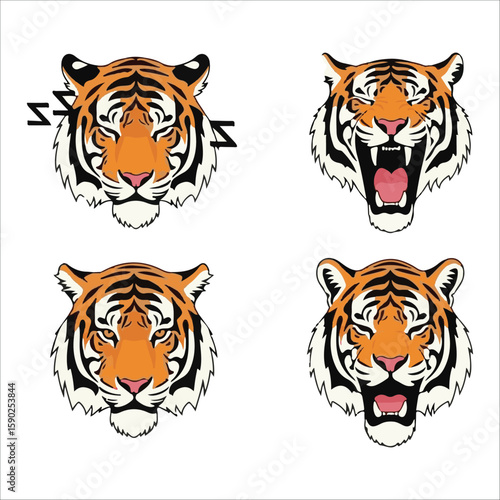 Tiger faces roaring and calm animal wildlife