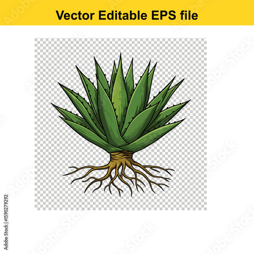 A  stylized illustration of an agave plant, showcasing its spiky leaves and root system against a black background.