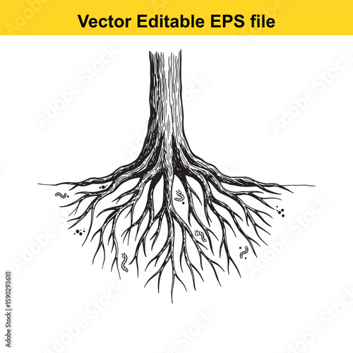 A detailed black silhouette of tree roots spreading outwards on a white background.