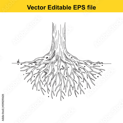 A detailed black silhouette of tree roots spreading outwards on a white background.