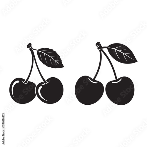 Black cherries with leaves on white background fruit stems