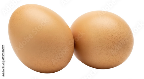 Isolated Two Brown Eggs