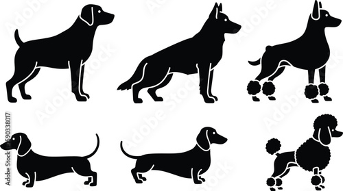 Collection of Dog Breed Silhouettes Labrador, German Shepherd, Doberman, Dachshund, Poodle - Canine Breed Illustrations