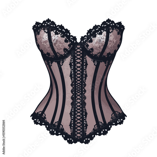 Vector illustration of lace corset delicate elegant on white background, fashion clothing

