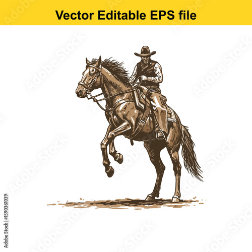 Cowgirl riding a horse through grass in silhouette