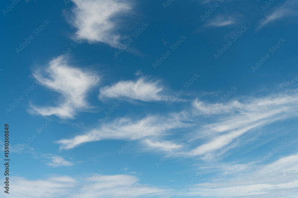 Obraz premium Overcast scene. Cloudy sky view. Cloud drifting. Cloudy atmospheric backdrop. Morning sky with cloud. Sky and cloud formation. Weather cloudscape. Soft and fluffy. Sky filled with cloud