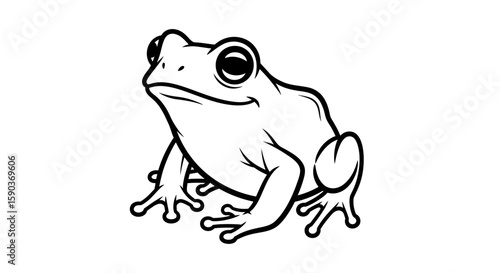 Vector illustration of a cute frog amphibian vector drawing for kids and educational resources outline drawing