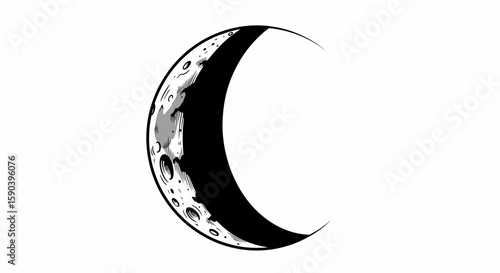 Vector explore the crescent moon phases lunar cycle celestial body astronomy vector illustration design graphic art