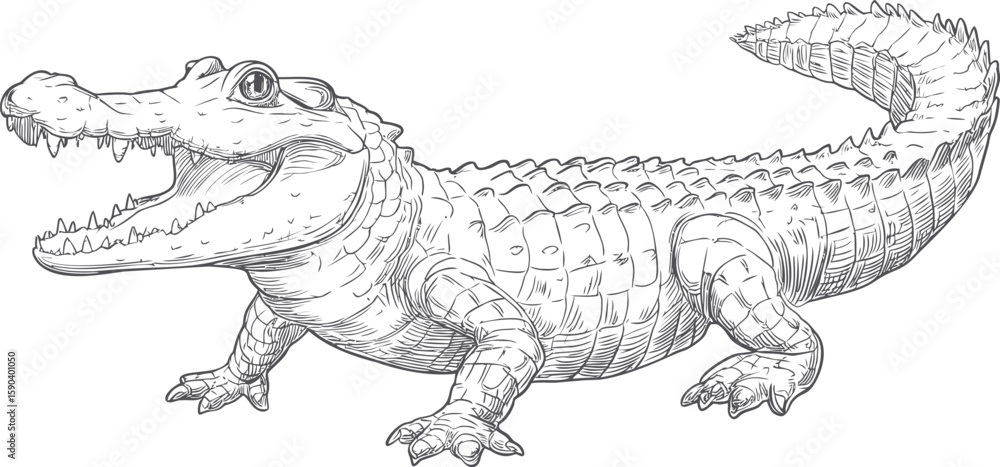 Naklejka premium Black and white crocodile illustration with detailed scales and open mouth. Vector illustration