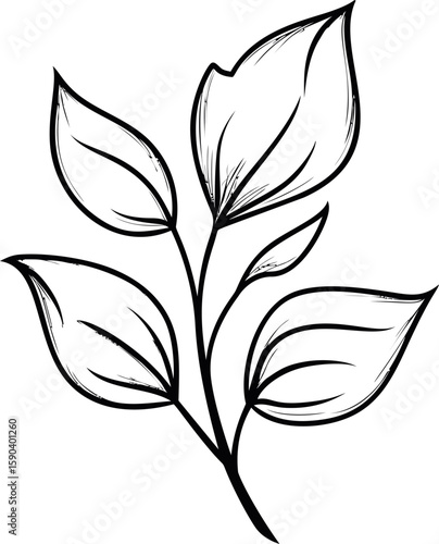 Simple line drawing of a plant with seven leaves in black and white outline art. Vector illustration