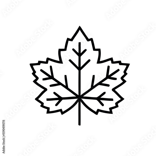 Single outlined leaf with distinct pointed lobes on a solid white background