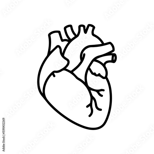 Detailed Black Outline of Human Heart Depicting Anatomical Structures.