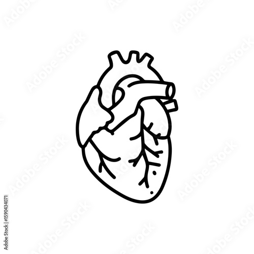 Detailed Black Outline of Human Heart Depicting Anatomical Structure.