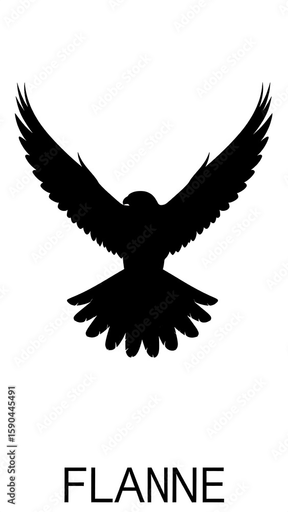 Obraz premium Bird silhouette in flight