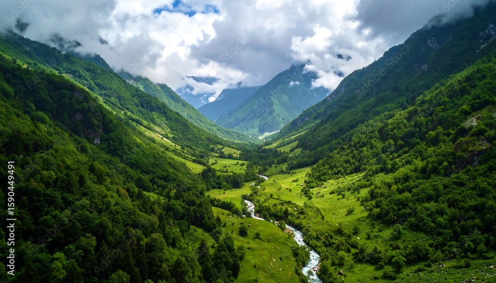 Obraz premium Lush valley nestled between towering mountains