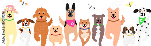 walking dogs in a row