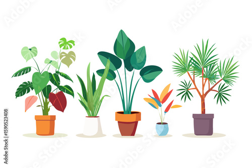 green plant in a pot