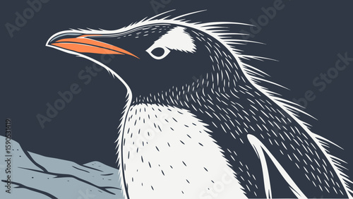 Illustration of a gentoo penguin with orange beak standing on rocky ground in a dark background