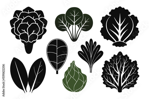 Collection of stylized leafy green vegetables including spinach lettuce kale and artichoke in black and green on a white background for graphic design elements