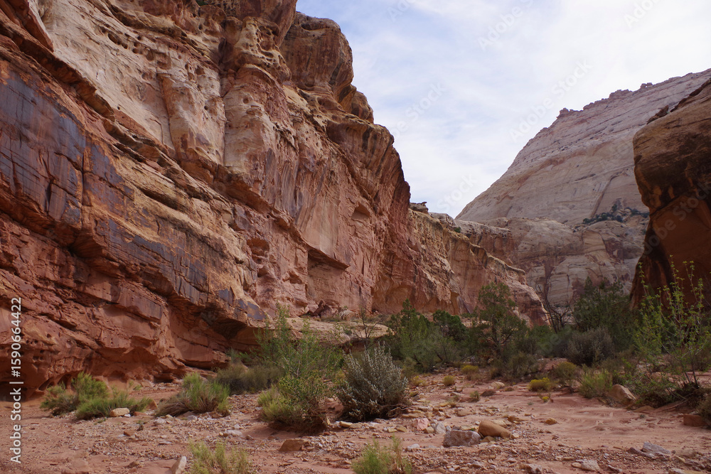 Fototapeta premium Sandstone canyon with desert wash and shrubs