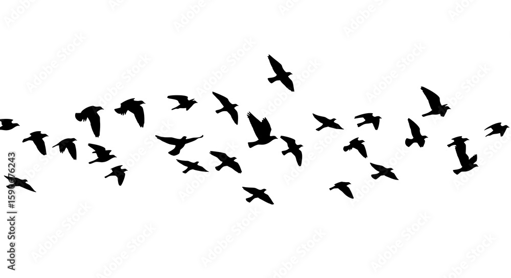 Fototapeta premium Flock of Many Birds Flying – Minimalist Vector on White Background