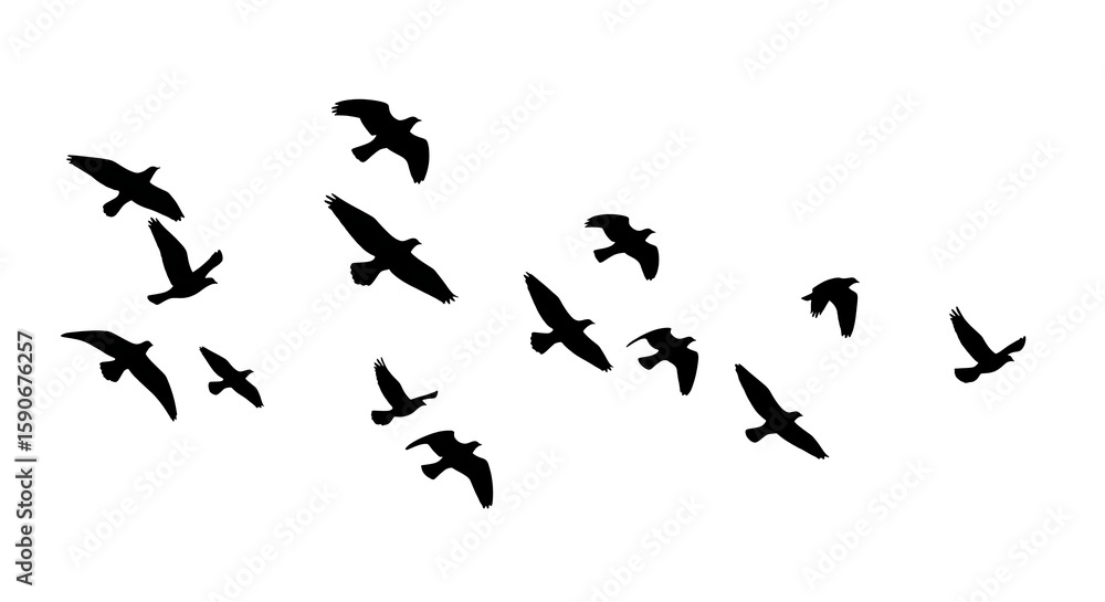 Flock of Many Birds Flying – Minimalist Vector on White Background
Flock of Many Birds Flying – Minimalist Vector on White Background