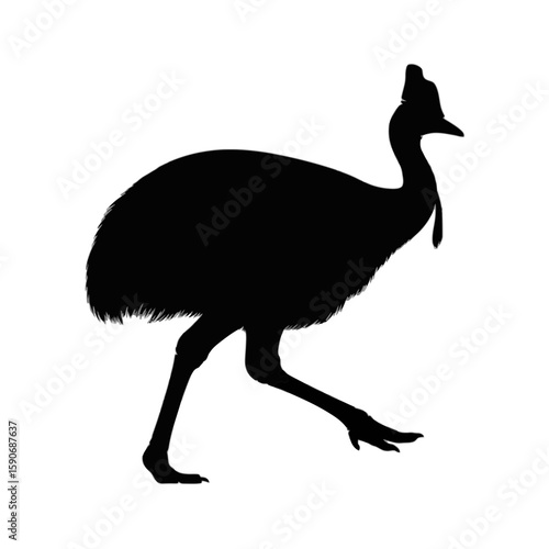 Cassowary Bird Silhouette black white background