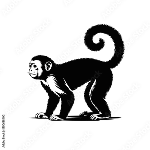 Curious Monkey With Swirling Tail primate animal