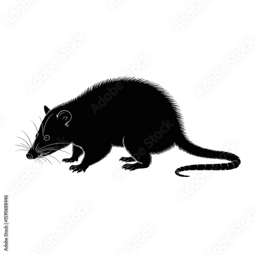 Curious rodent sniffing the air animal mammal