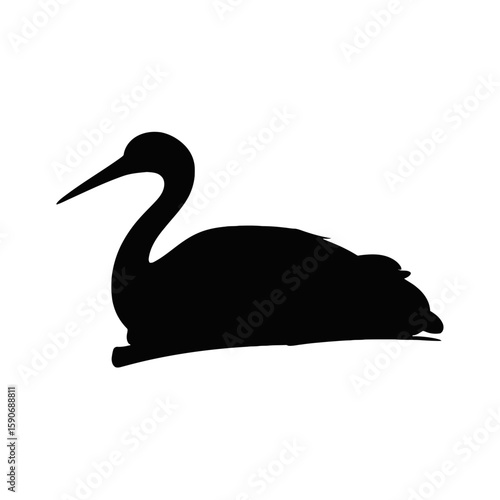 Elegant Heron Silhouette bird water bird