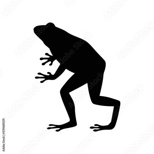 Frog silhouette on white background amphibian animal