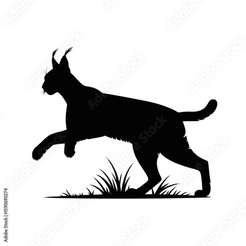 Lynx in motion with tufts of grass feline wild cat
