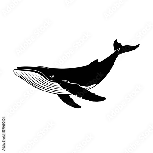Majestic Blue Whale Silhouette marine mammal ocean