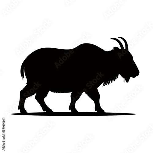 Mountain Goat Silhouette animal wildlife