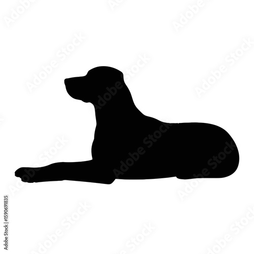 Resting dog silhouette animal lying down
