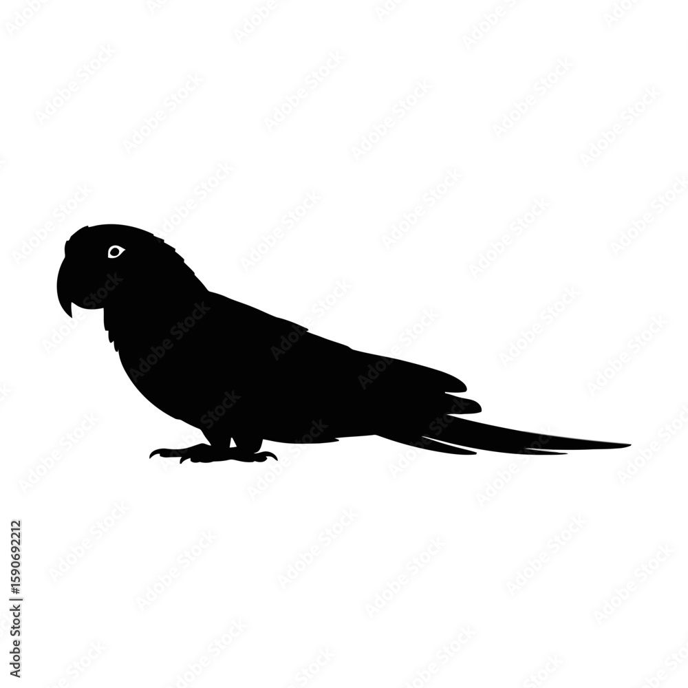 Fototapeta premium Silhouette of a perched parrot bird animal