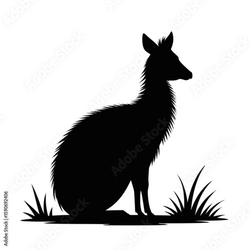 Sitting Alpaca Silhouette animal grass