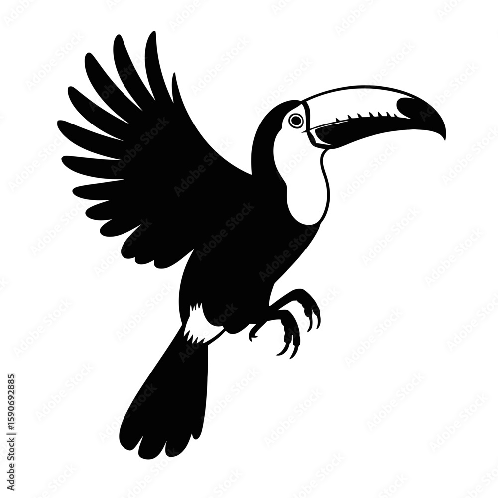 Fototapeta premium Toucan in flight silhouette bird flying