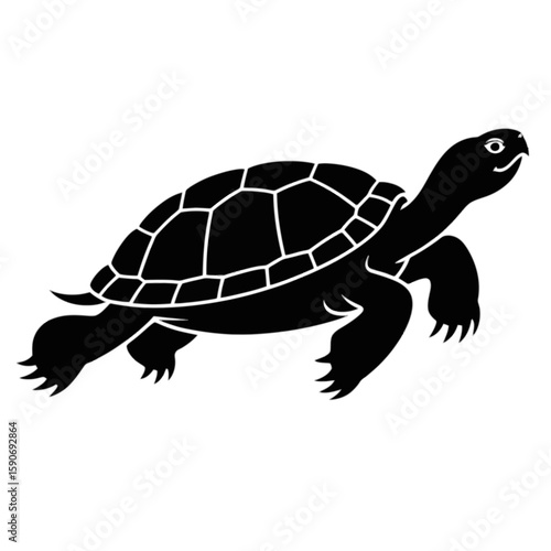 Tortoise Walking Silhouette turtle reptile