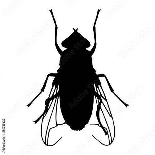 Black Fly Silhouette Vector Illustration