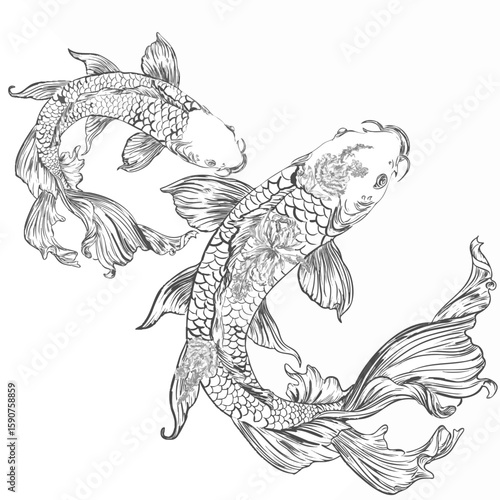 Elegant Koi Fish with Floral Patterns ? Hand Drawn Line Art.eps