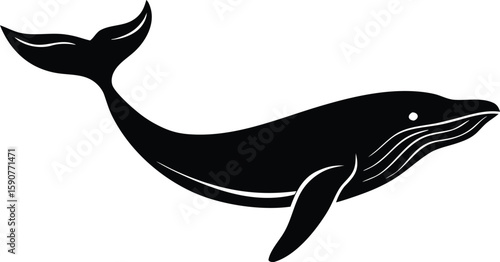 Whale jumping out of water silhouette vector for educational print and digital artwork