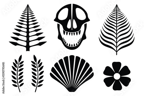 Prehistoric flora skull shell flower fossils
