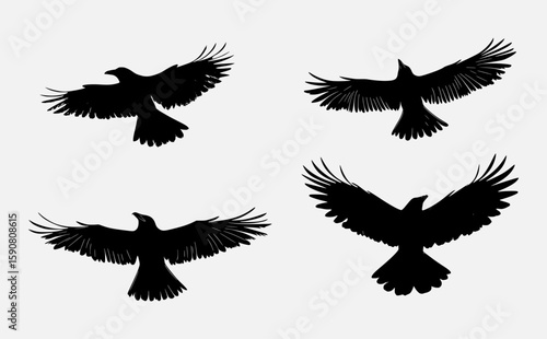 Flying bird silhouette vector set with spread wings and detailed feather shapes