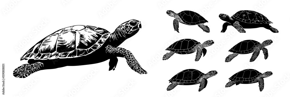 Fototapeta premium Turtle silhouette vector collection of sea turtles in swimming and side view angles