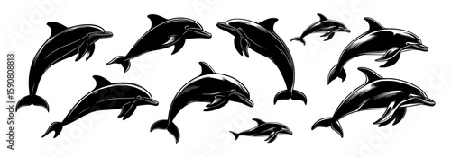 Dolphin silhouette vector set showing jumping and swimming poses in black design