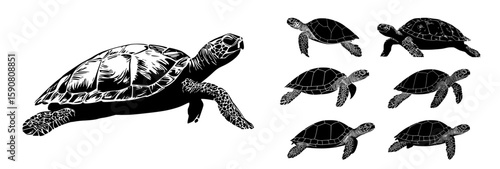Turtle silhouette vector collection of sea turtles in swimming and side view angles