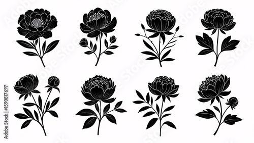 Elegant Black and White Peony Floral Illustrations:  A Set of Eight Vector Designs for Invitations, Branding, and Decor.