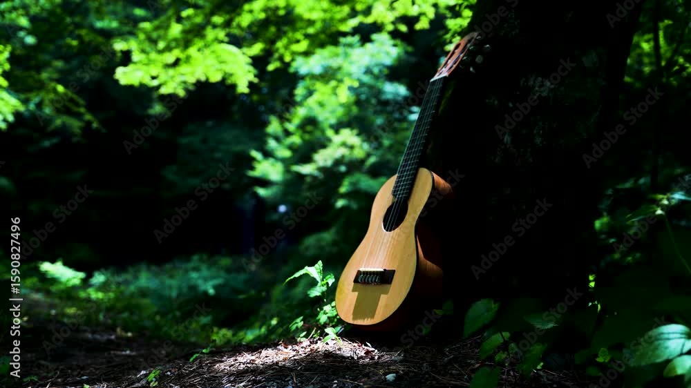 8K to 4k Echoes of Guiter Music Flowing Through Wild Landscapes