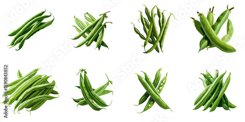 Multiple vector illustrations of delicately drawn green beans

